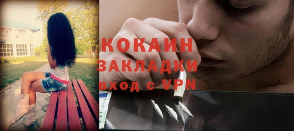 ГАЛЛЮЦИНОГЕННЫЕ ГРИБЫ Абаза