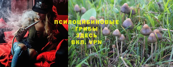 гашик Абинск