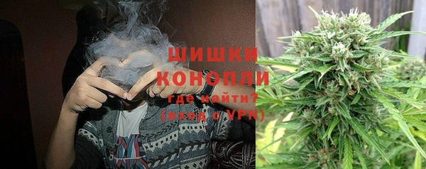ГАЛЛЮЦИНОГЕННЫЕ ГРИБЫ Абаза