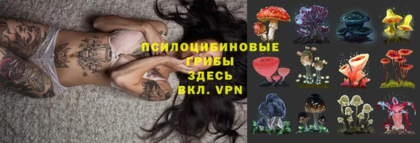 гашик Абинск